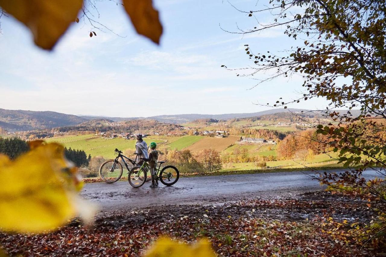 Ferienwohnungen Wald Und Wiese Waldkirchen Exterior foto